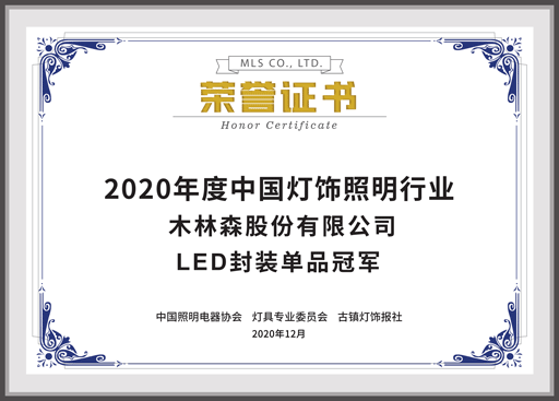 2020年度中国灯饰照明行业LED封装单品冠军