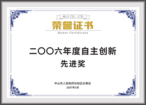 2006年度自主创新先进奖